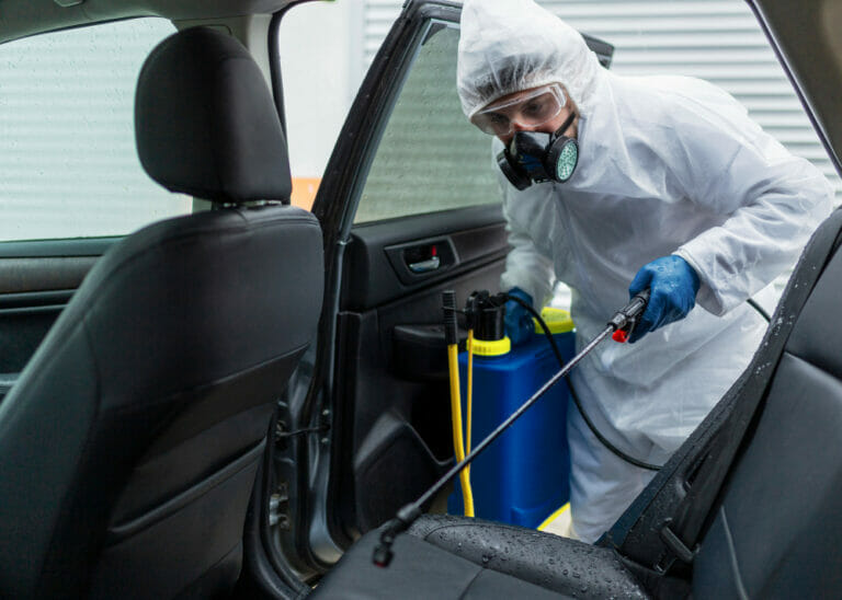 Cómo eliminar las cucarachas del carro