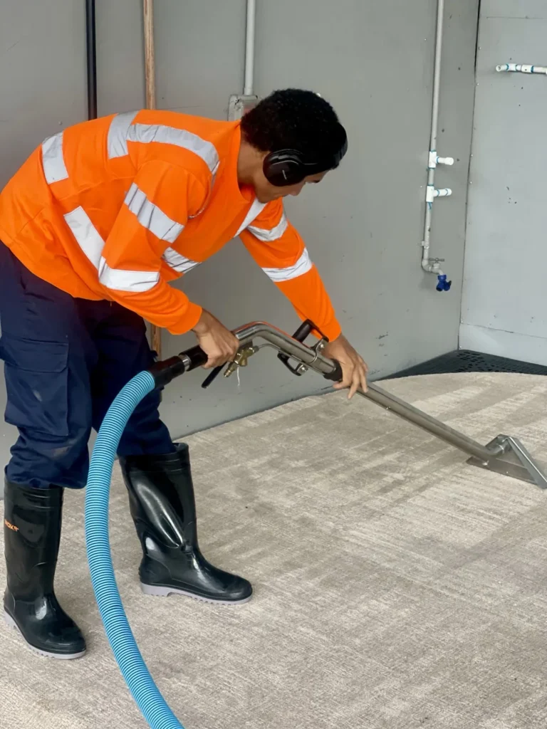 Proceso profesional de limpieza y extracción de alfombra decorativa