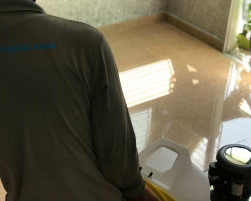 Servicio de Limpieza y pulimiento de pisos 11